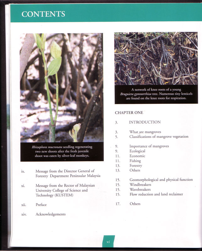 mangroves of terengganu